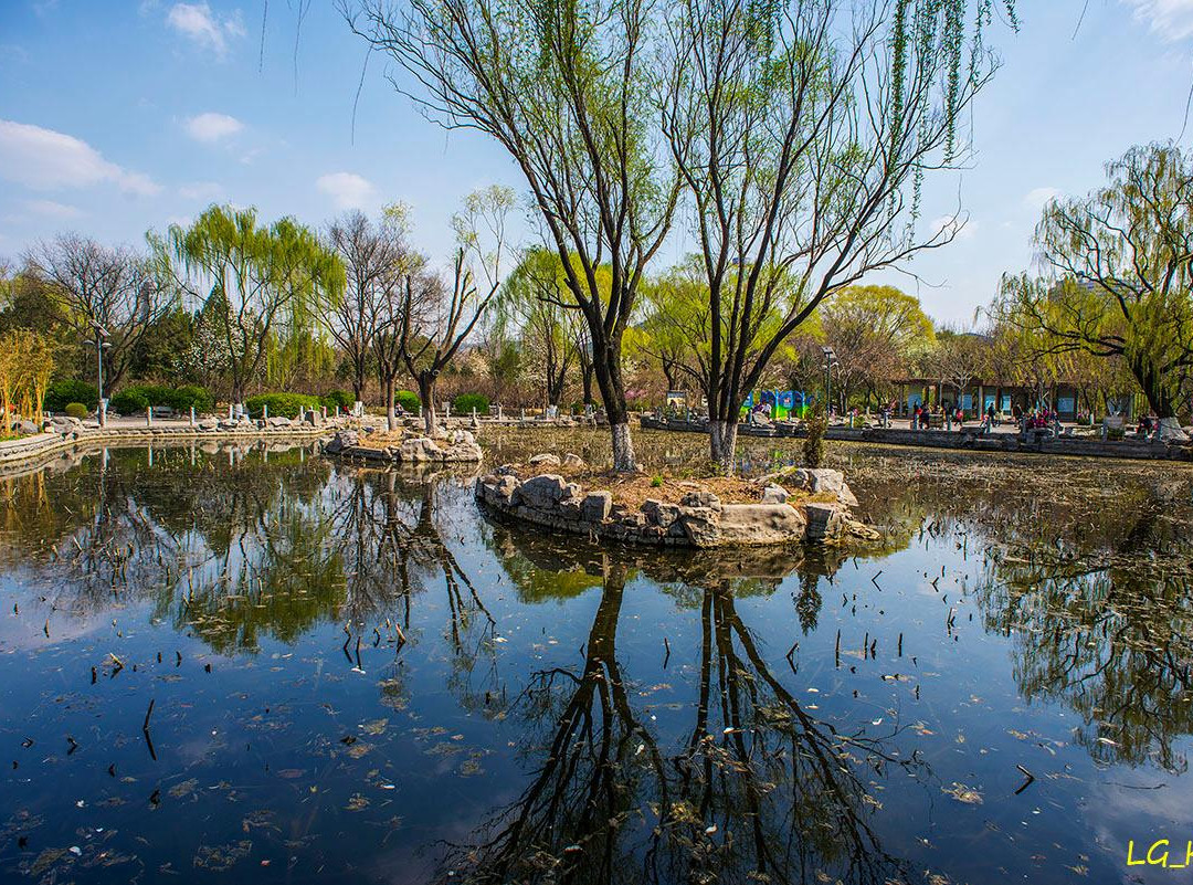 济南市旅游景点-泉城公园