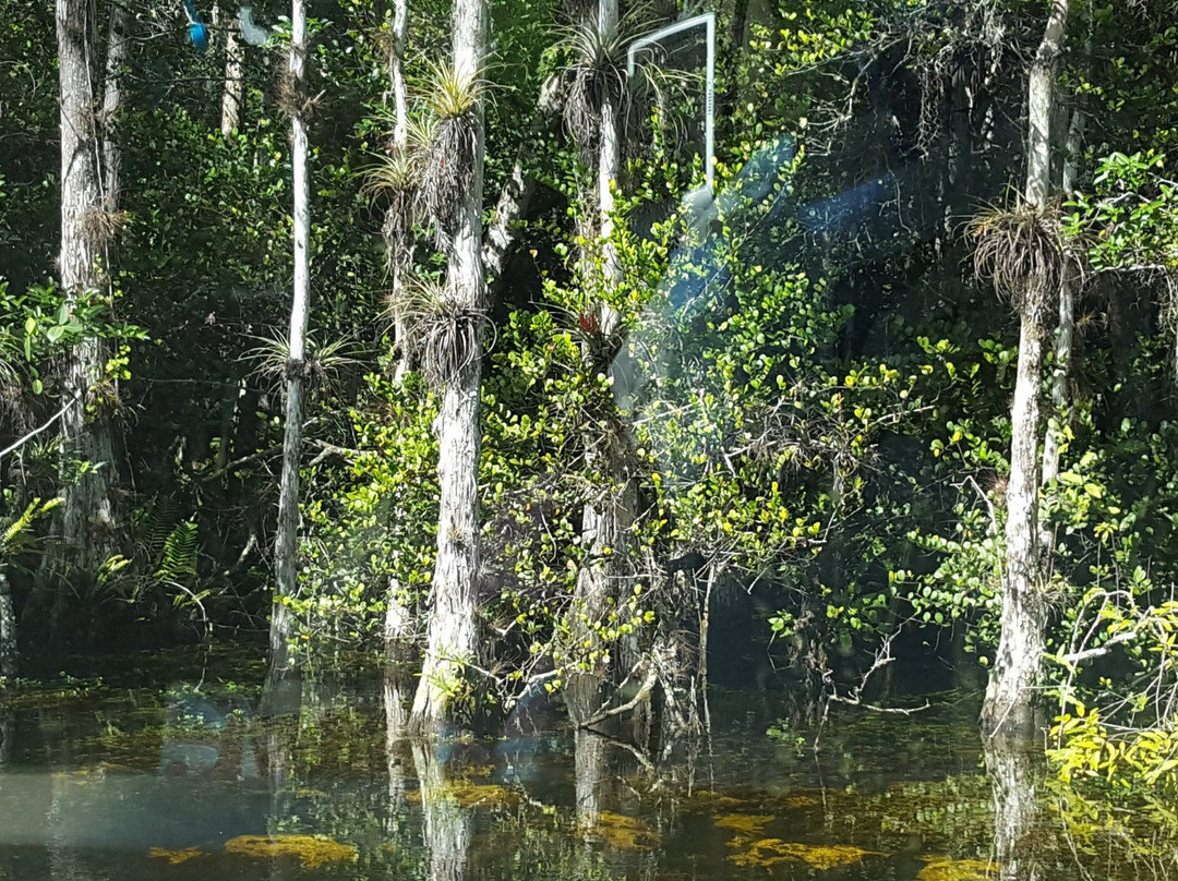 奥乔皮旅游攻略图片