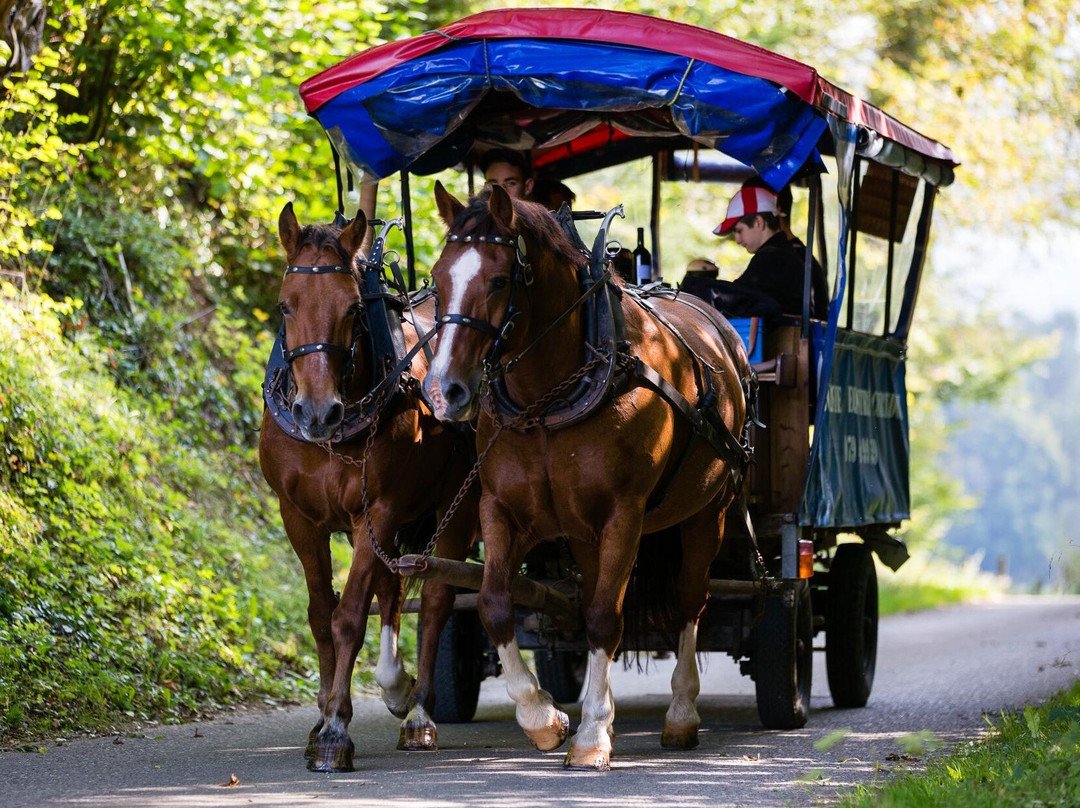 Equestrian Tourism Courtedoux景点图片