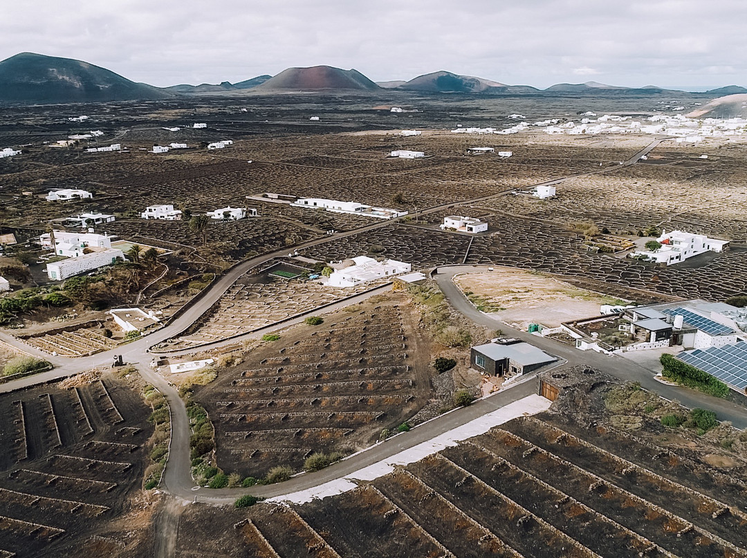 Bodegas Vega de Yuco景点图片