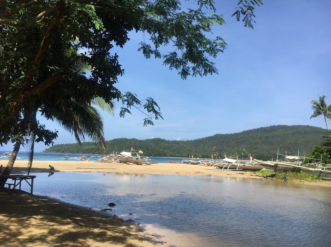 Talaudyong Beach景点图片