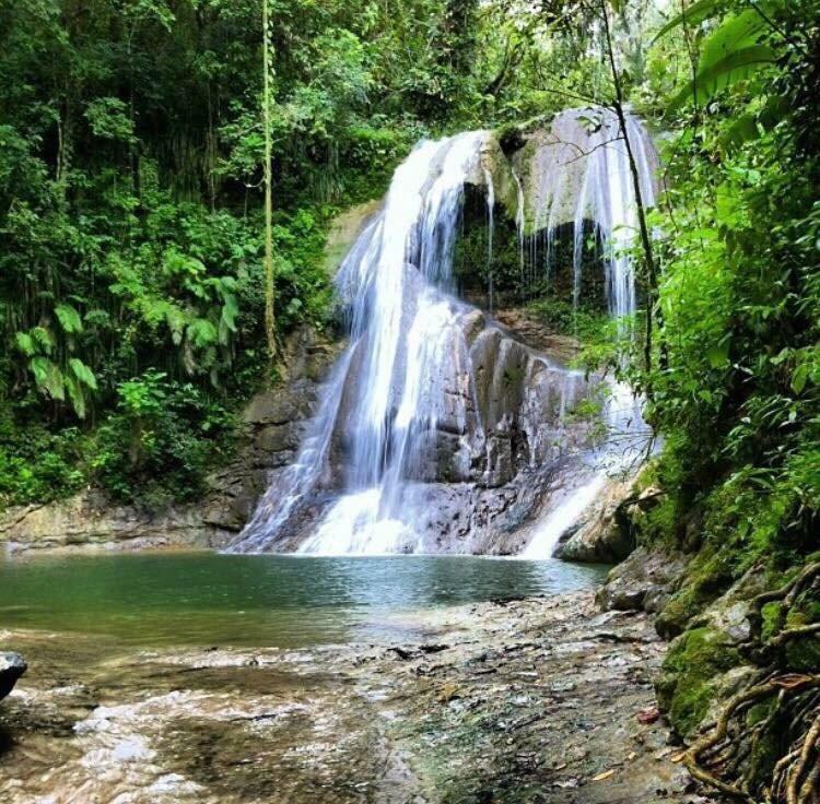 Catarata Gozalandia景点图片