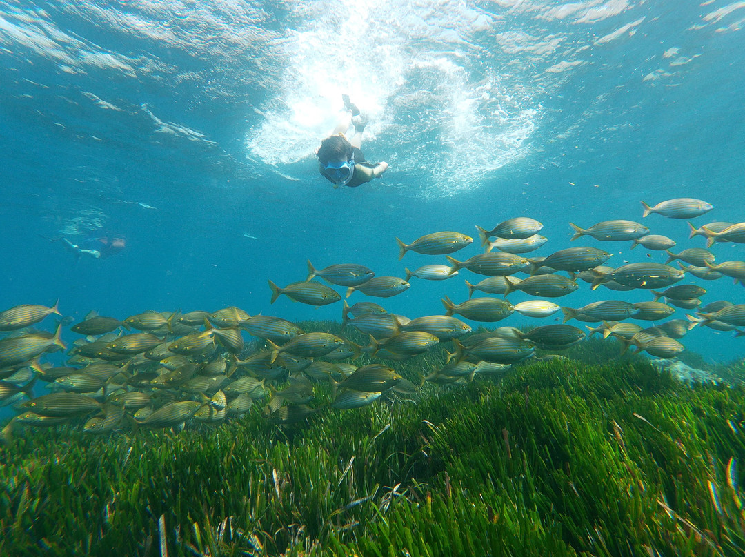 Snorkel Cabo de Gata景点图片