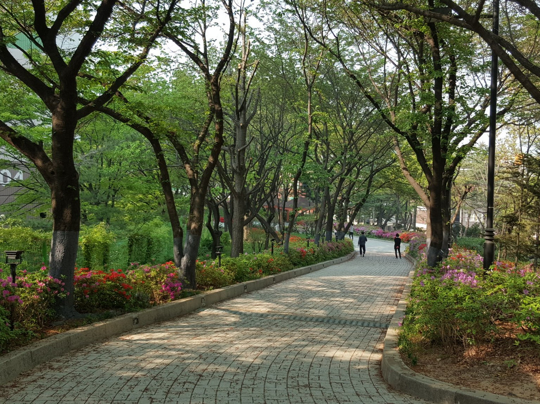 Hwadojin Park景点图片