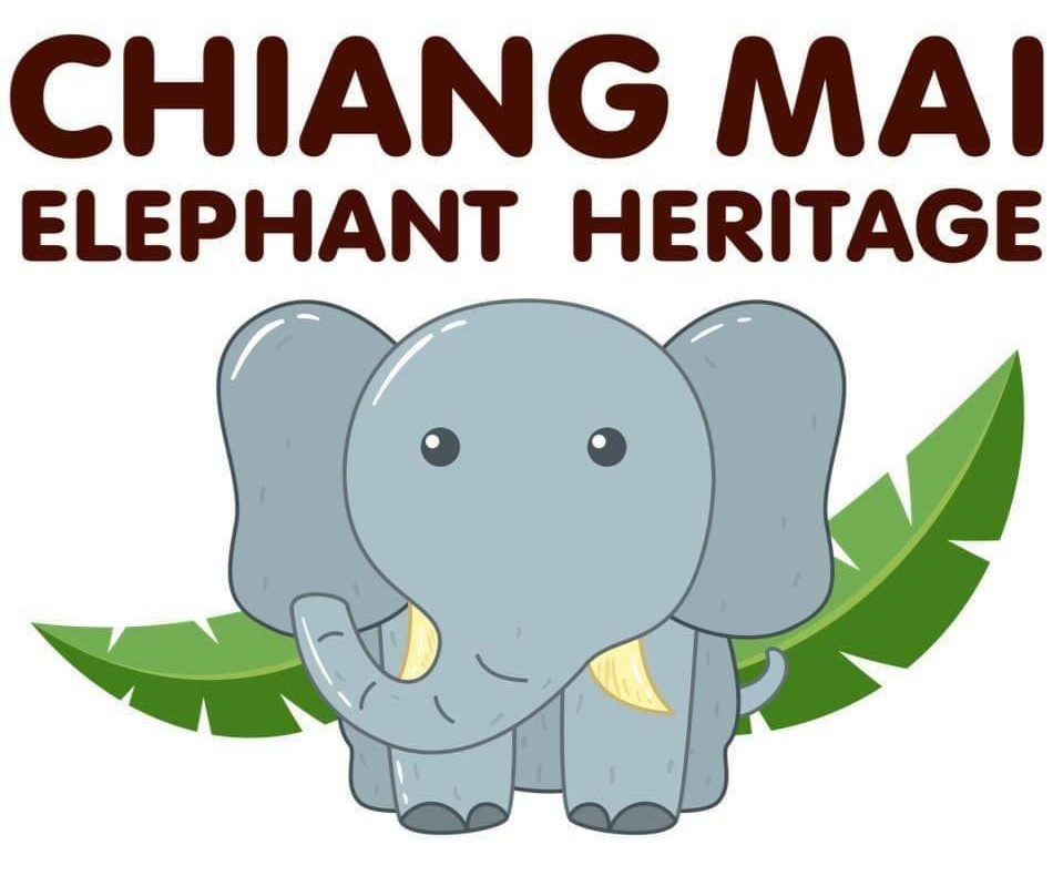 Chiangmai Elephant Heritage-清迈必去景点