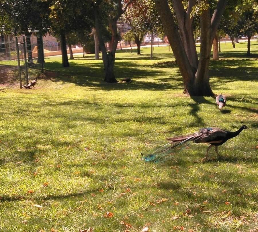 Parque de la Alquería Dos Hermanas景点图片