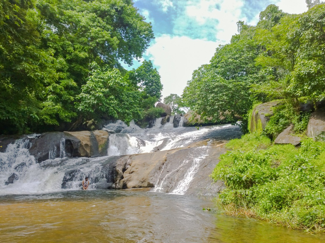 Ilanjippara Waterfall景点图片