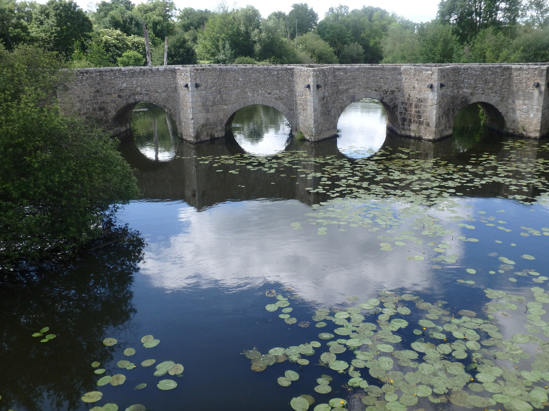 Vieux Pont Ou Pont Roman De Gourgé景点图片
