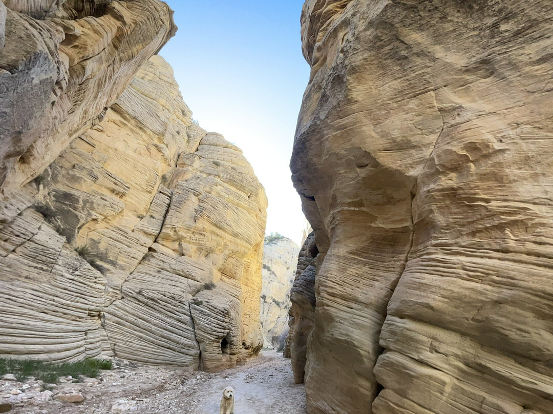 Open Country Adventures-特罗皮克必去景点