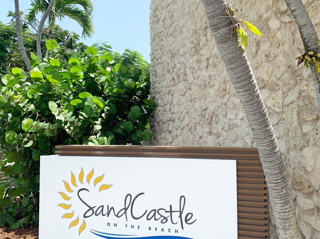 Sand Castle On The Beach主图