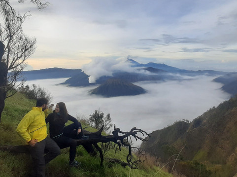 Bromo Tour Organizer