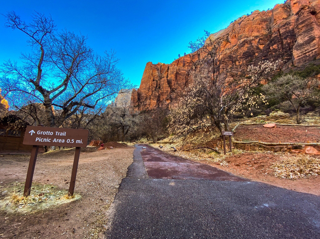 Grotto Trail-锡安国家公园必去景点