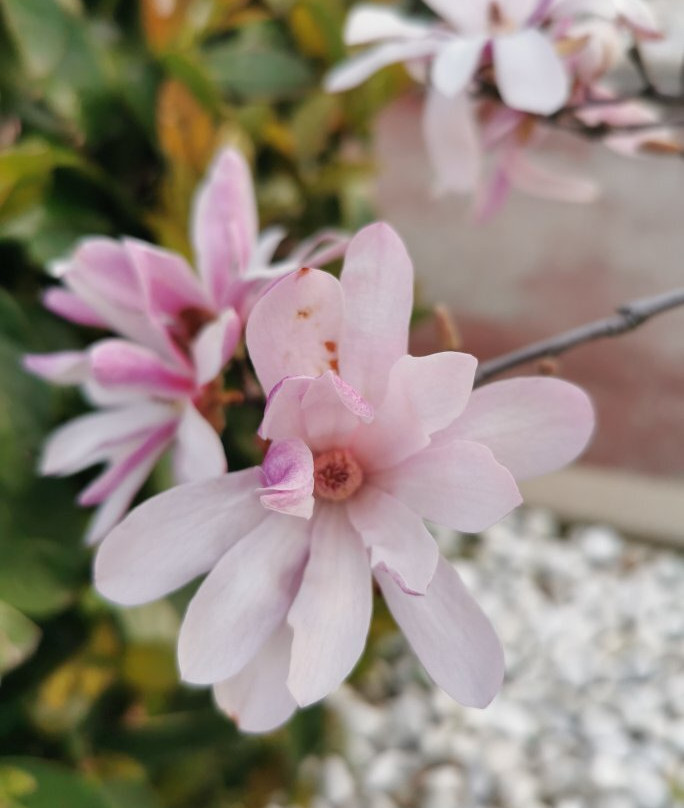 Centro Oeste-马亚达洪达必去景点