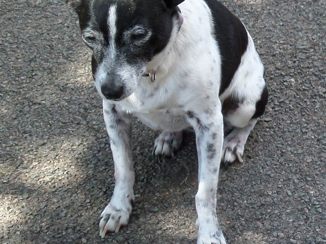 Island View Motel主图