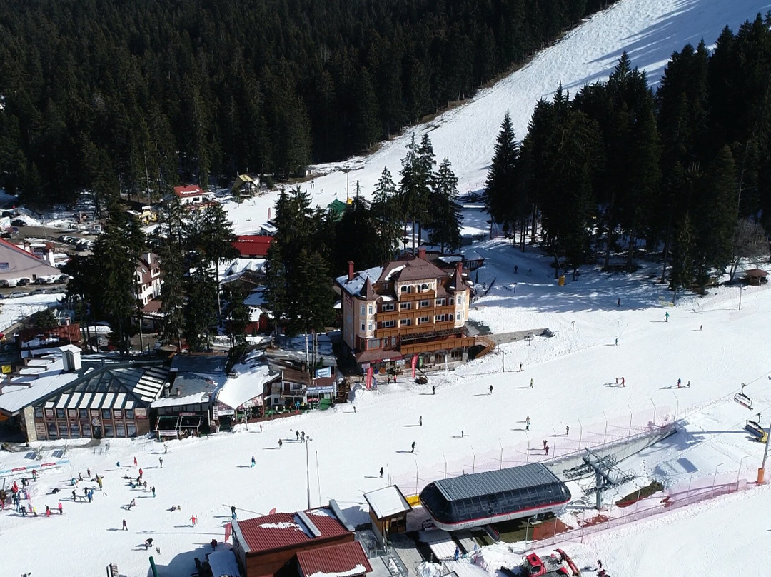 ALPIN Rent Ski & School Borovets景点图片
