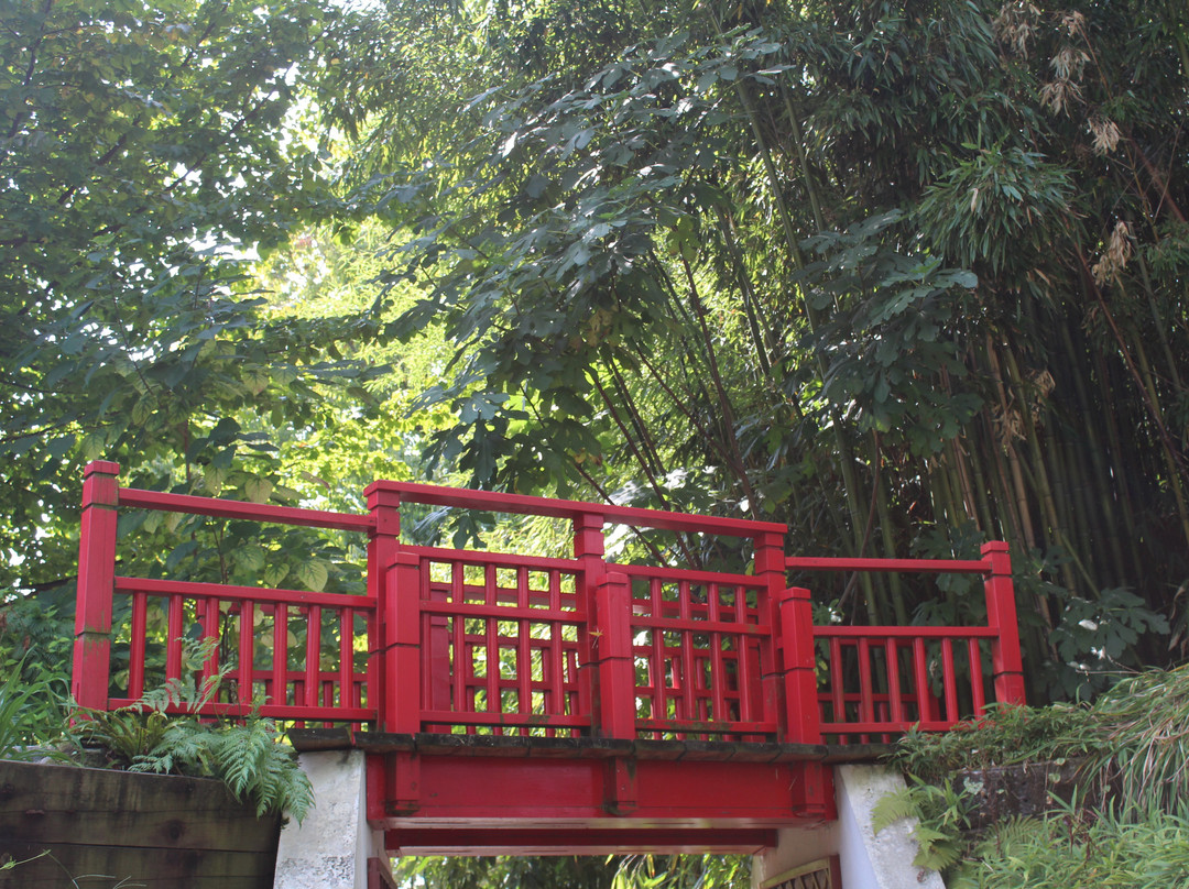 Jardin Botanique景点图片