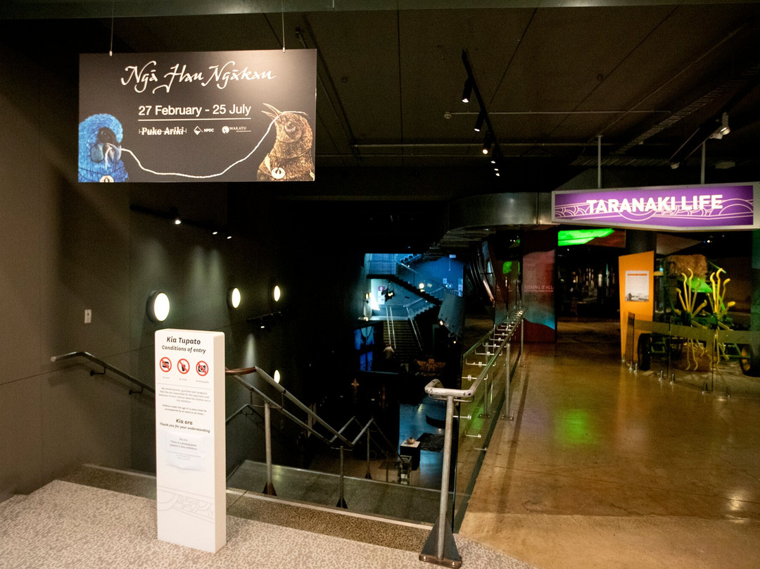 Puke Ariki-新普利默斯必去景点