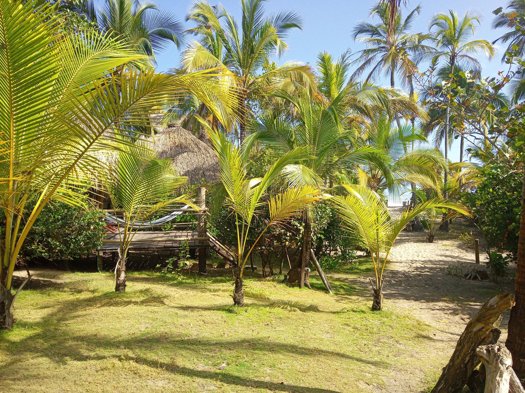 Playa Pikua Ecolodge主图