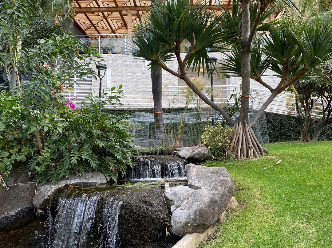 Holiday Inn Express & Suites Cuernavaca by IHG主图