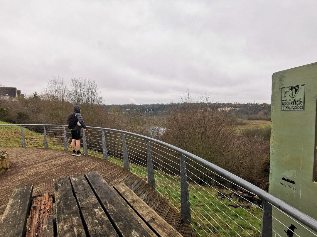 Essex Wildlife Trust Chafford Gorges Nature Park景点图片