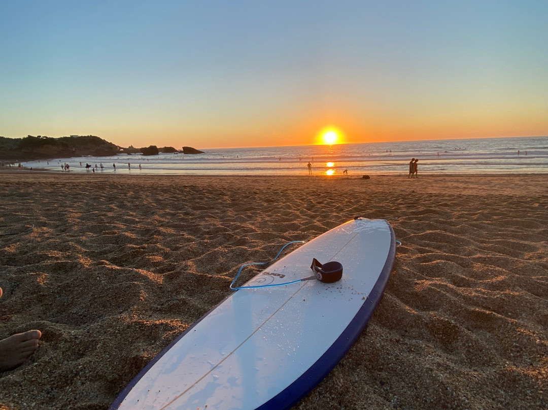 Homie Boards & Suits-比亚里茨必去景点