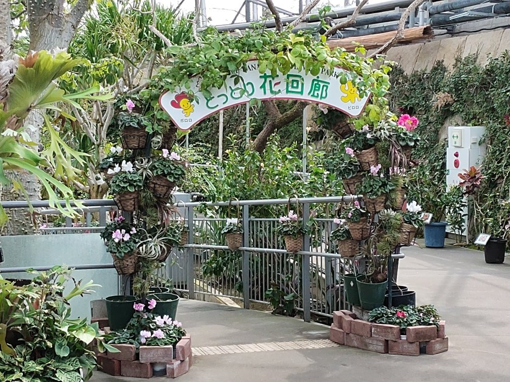 Tottori Hanakairo-Flower Park景点图片