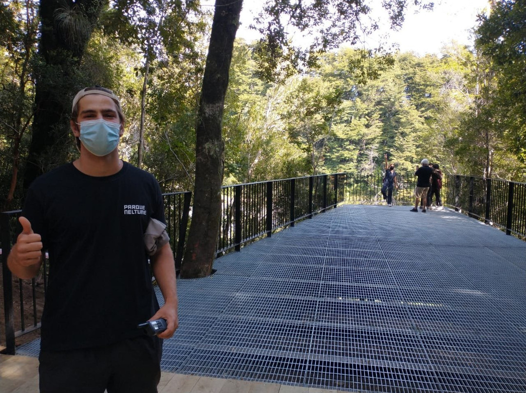 Parque Neltume - Salto Huilo Huilo