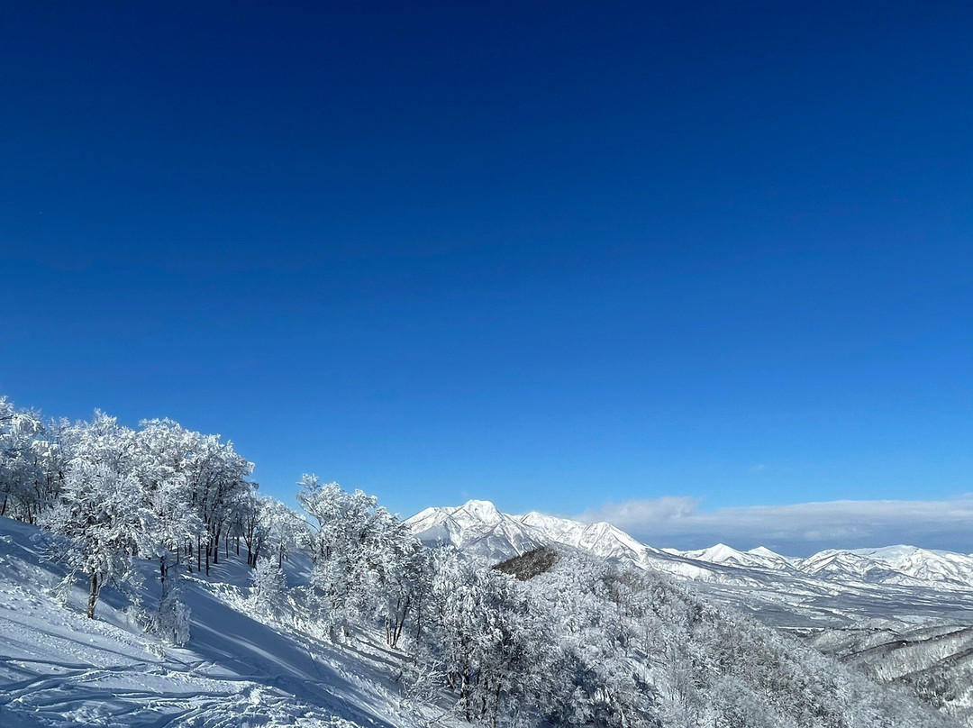 Madarao Mountain Resort-饭山市必去景点