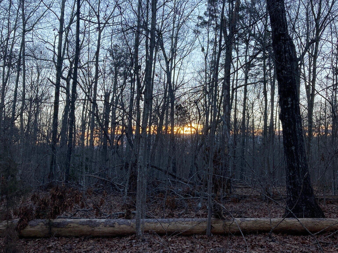 Kings Mountain State Park-Blacksburg必去景点