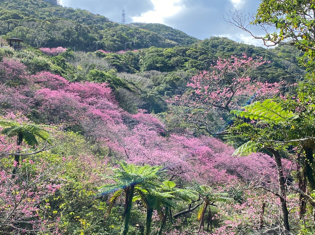 Mt. Yaedake-本部町必去景点