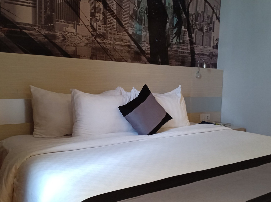 Hotel Horison Ultima Timika主图