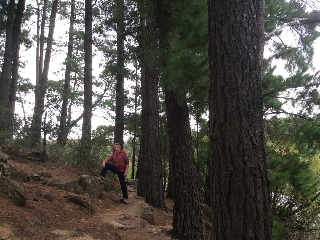 St George's Lake-Creswick必去景点