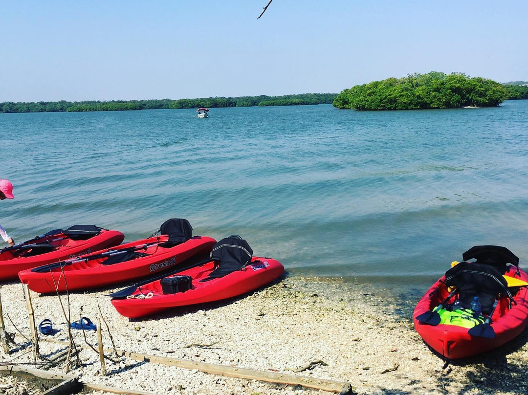 Laguna de Mandinga-韦拉克鲁斯必去景点