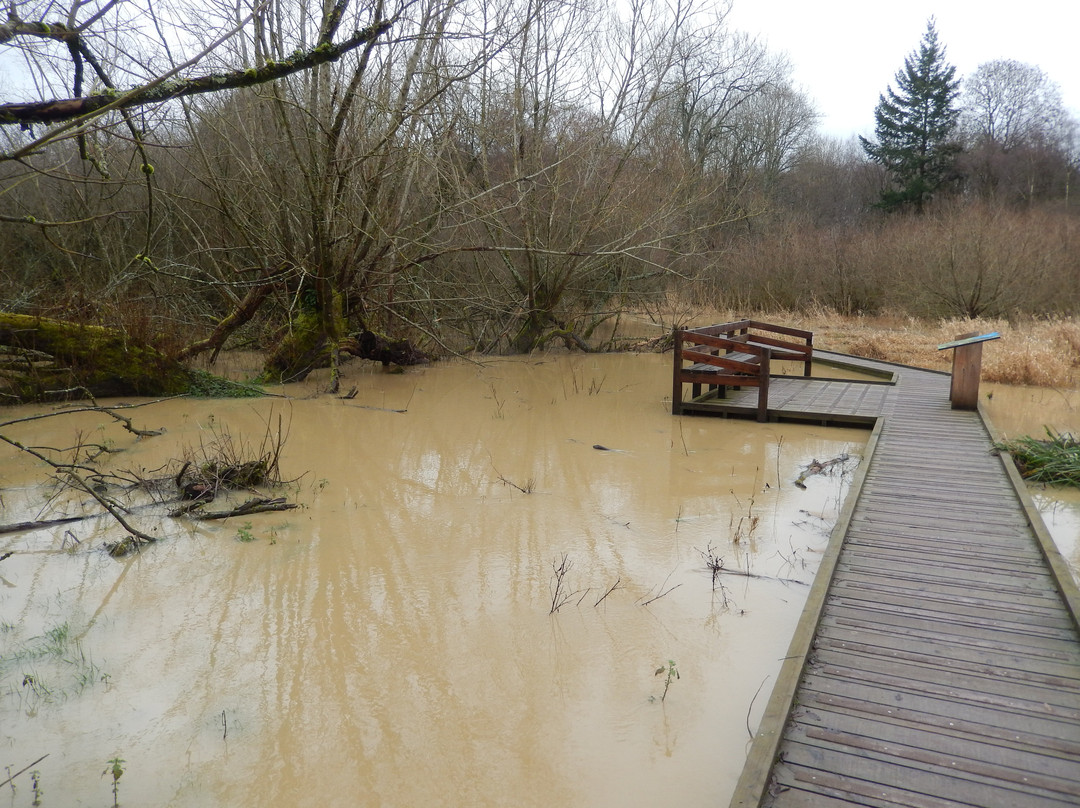 Warnham Local Nature Reserve景点图片