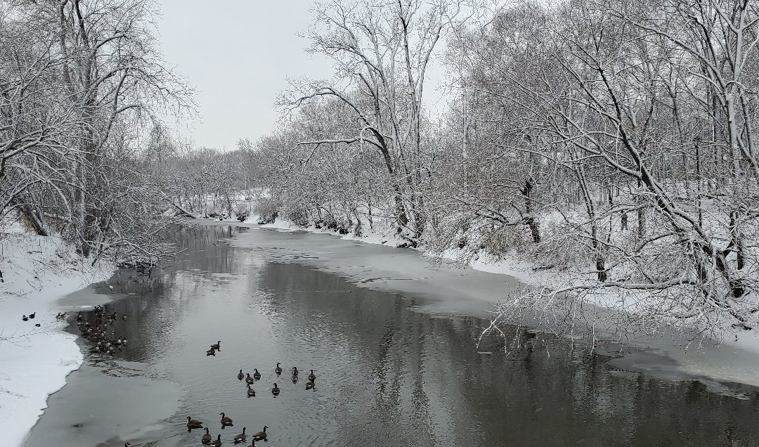Foster Park-科科莫必去景点