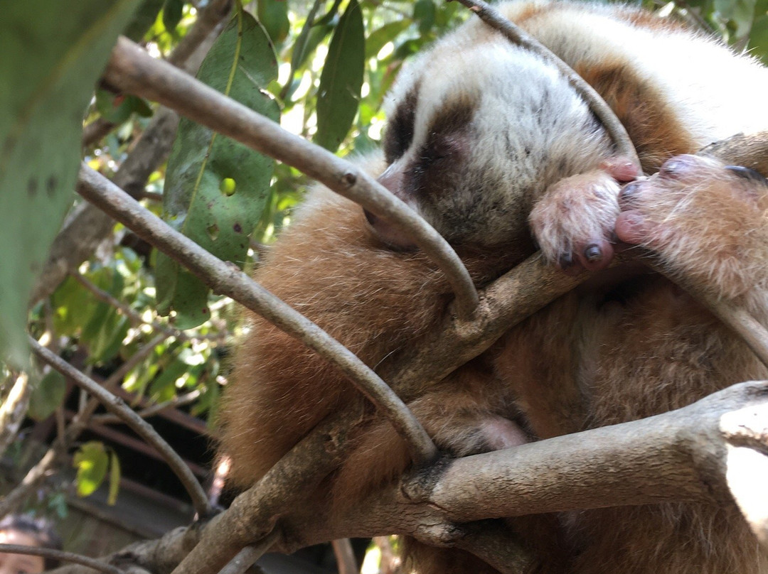 莱阳河国家森林公园-普洱市必去景点