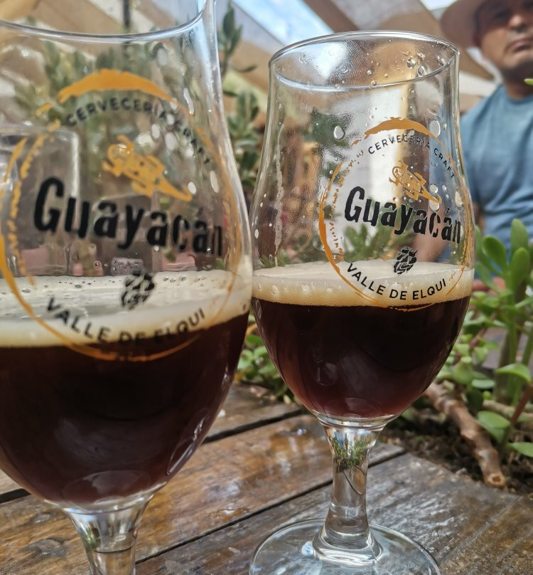 Guayacán Craft Brewery-Vicuna必去景点