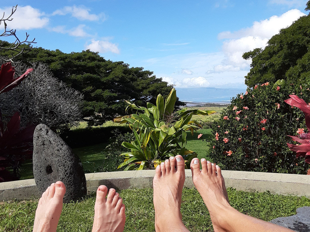 Banyan Bed And Breakfast Retreat主图