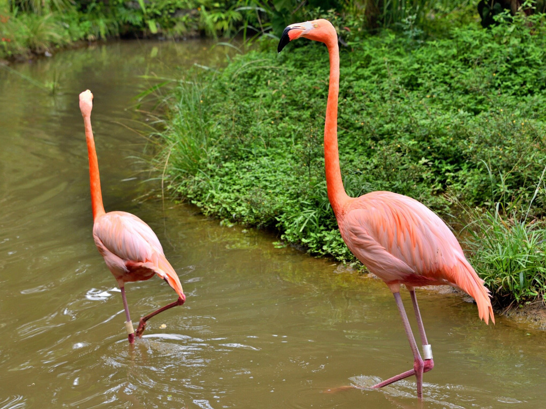 BnB Colombia Tours-卡塔赫纳必去景点