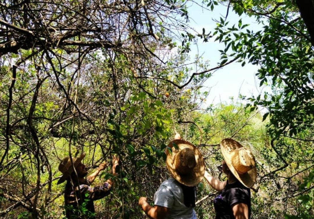 Senderos Tours-La Paloma必去景点