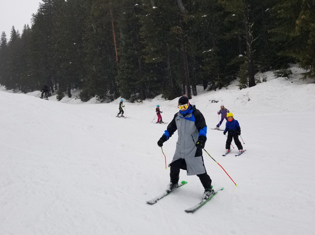 Cool Ski School景点图片