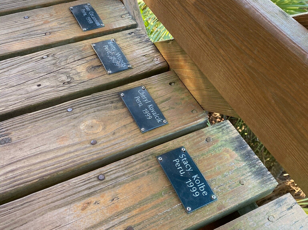 Myakka Canopy Walkway-萨拉索塔必去景点