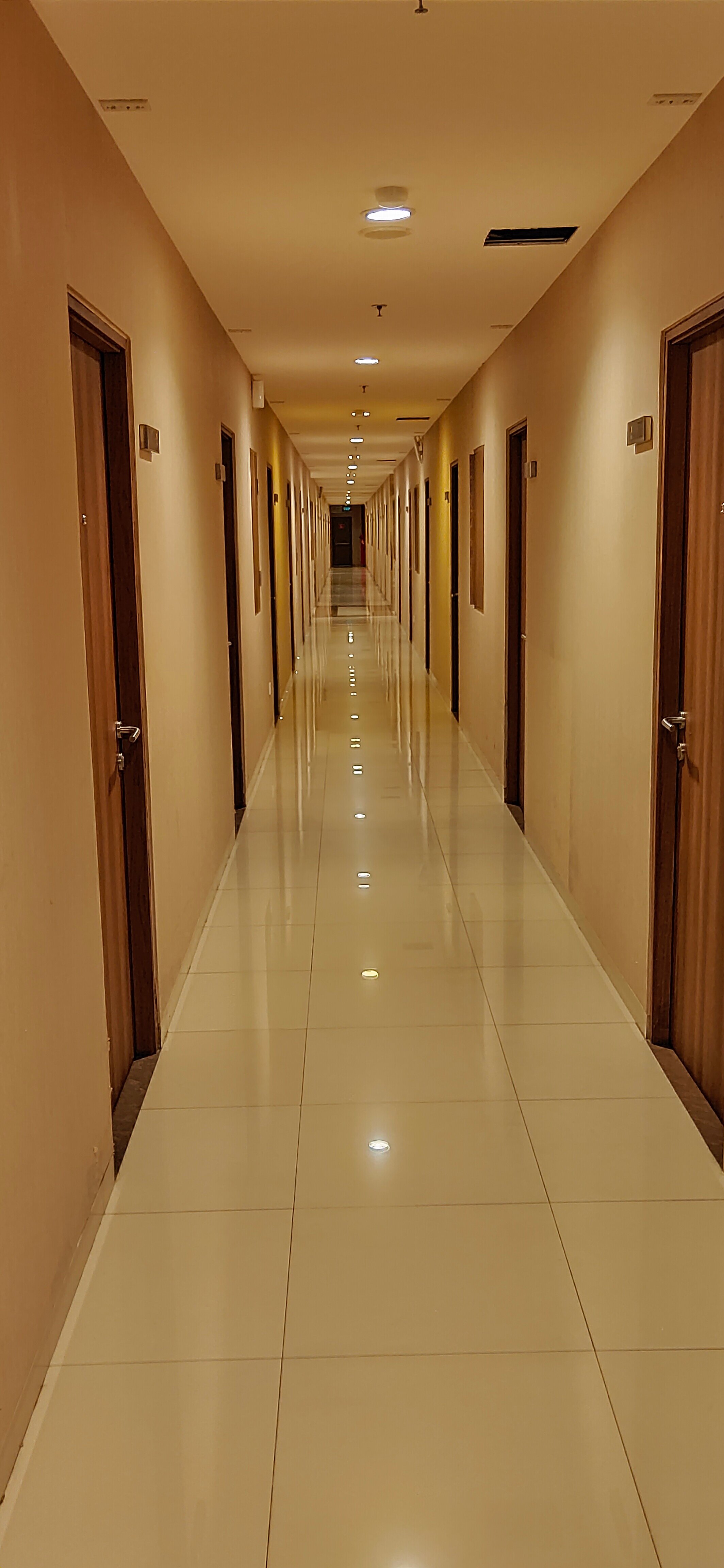 Student Park Hotel-portrait