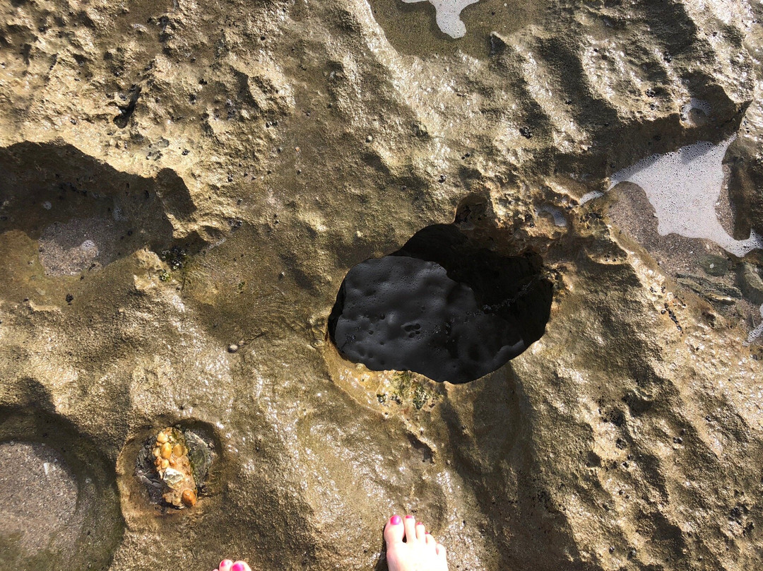 Ocean Reef Park-Riviera Beach必去景点