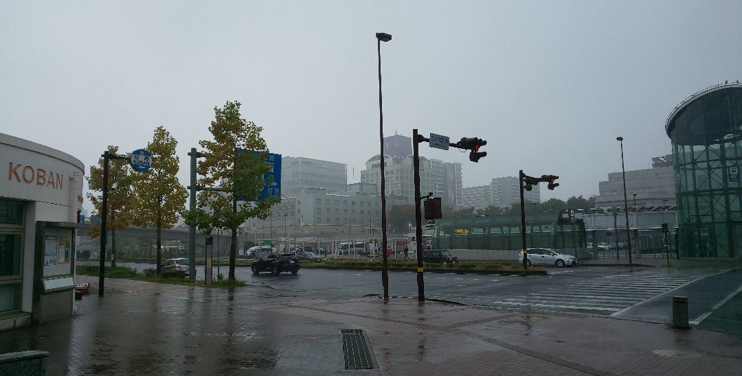 Chuo Park-筑波市必去景点