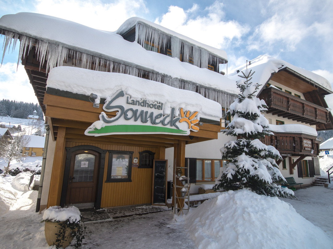 索纳科兰德酒店主图