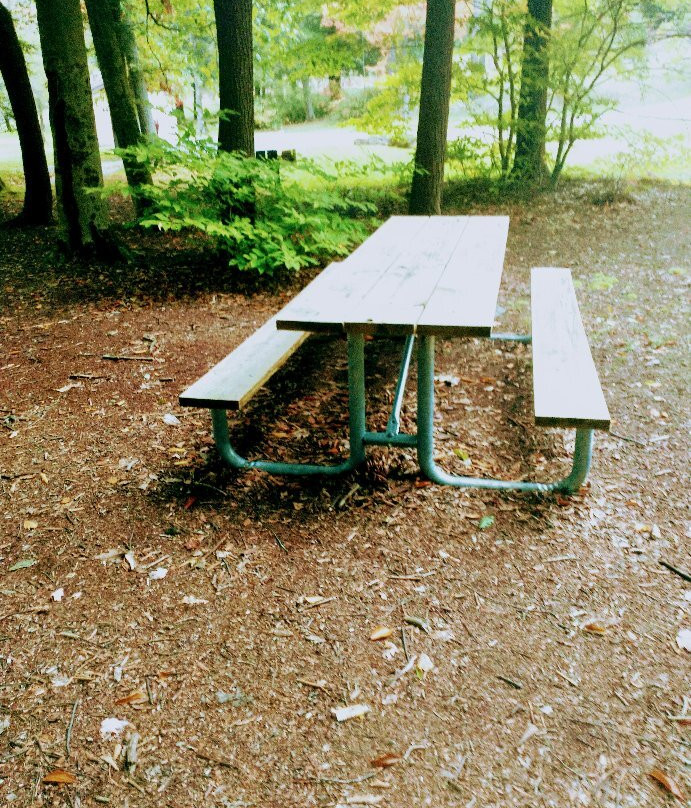 Kooser State park景点图片