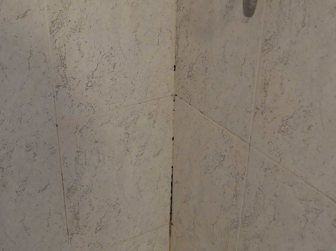 Garden Hotel Ripa主图