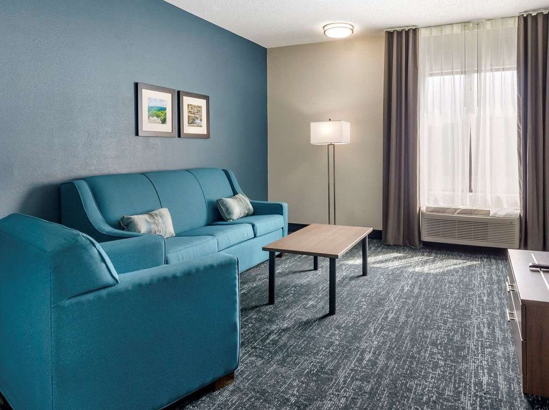 Comfort Inn & Suites Troutville - Roanoke North / Daleville主图