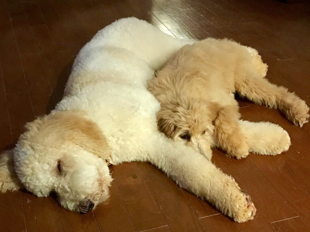 Twelve Mile Creek Greenway-Waxhaw必去景点